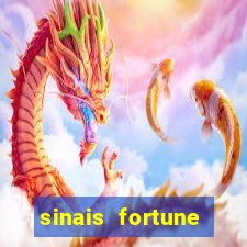 sinais fortune rabbit