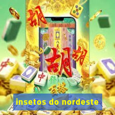 insetos do nordeste