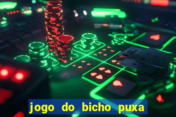 jogo do bicho puxa de dona maria