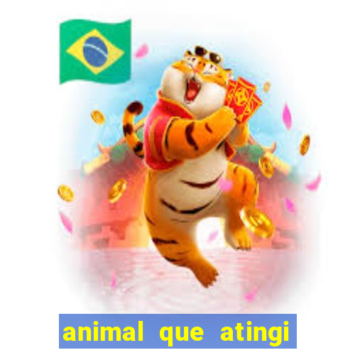 animal que atingi 230 decibeis